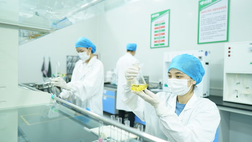 疆果果健康食品研究院獲評自治區(qū)級企業(yè)技術(shù)中心，引領(lǐng)健康食品產(chǎn)業(yè)創(chuàng)新發(fā)展